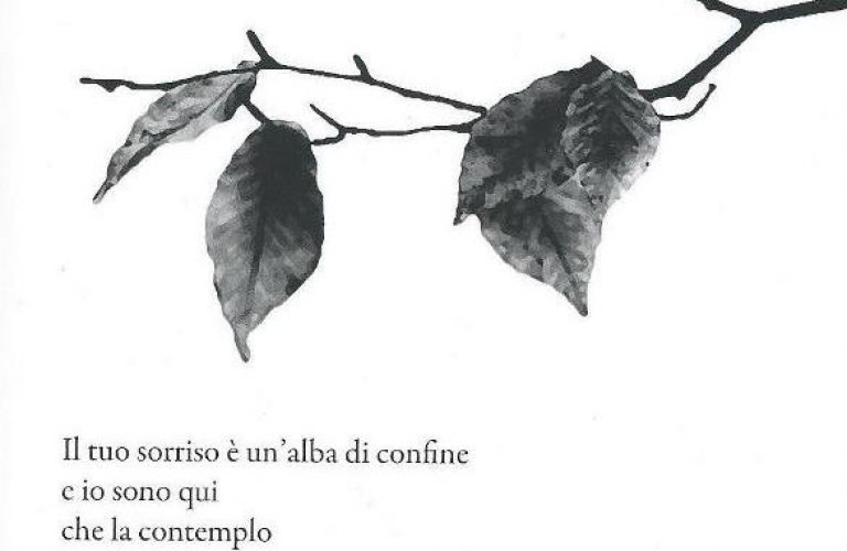 Frammenti del disincanto