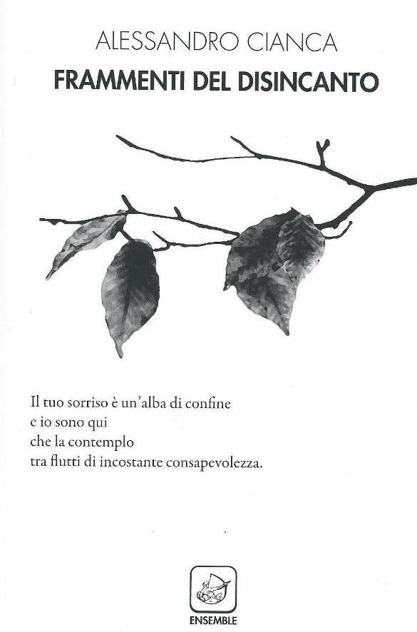 Al momento stai visualizzando Frammenti del disincanto
